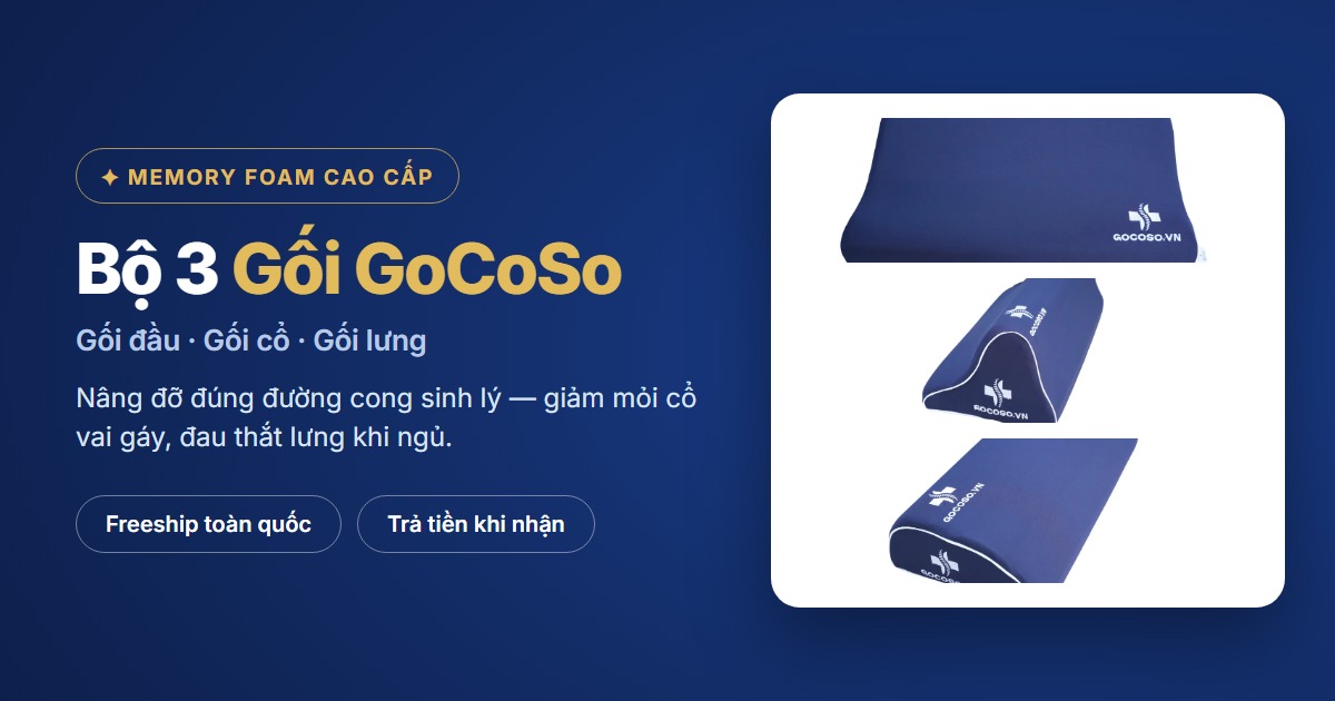 Bộ 3 gối GoCoSo memory foam cao cấp